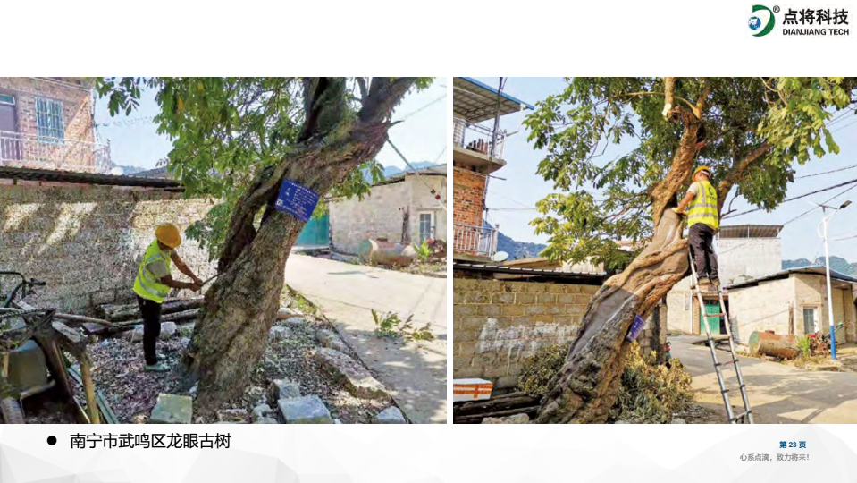 1647585277287558.png image.png