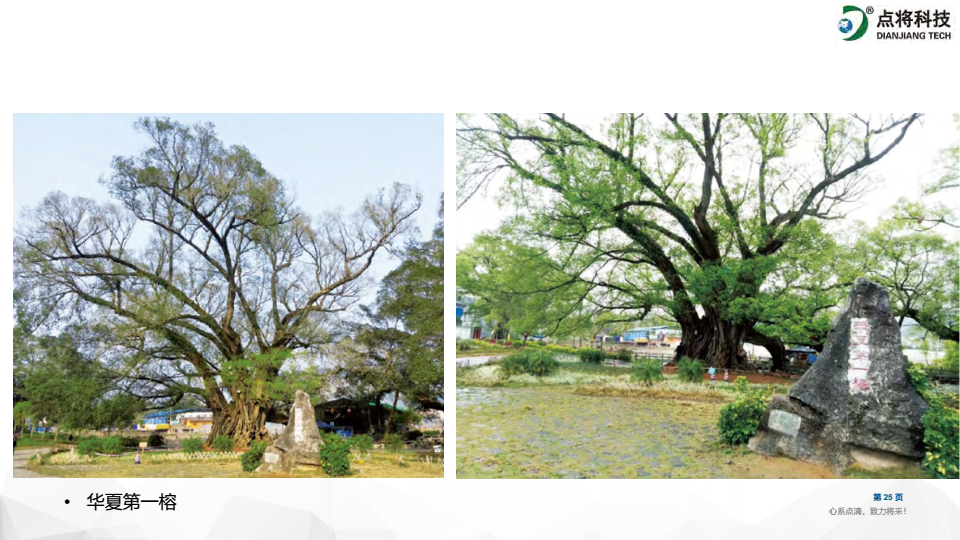 1647585320116385.png image.png