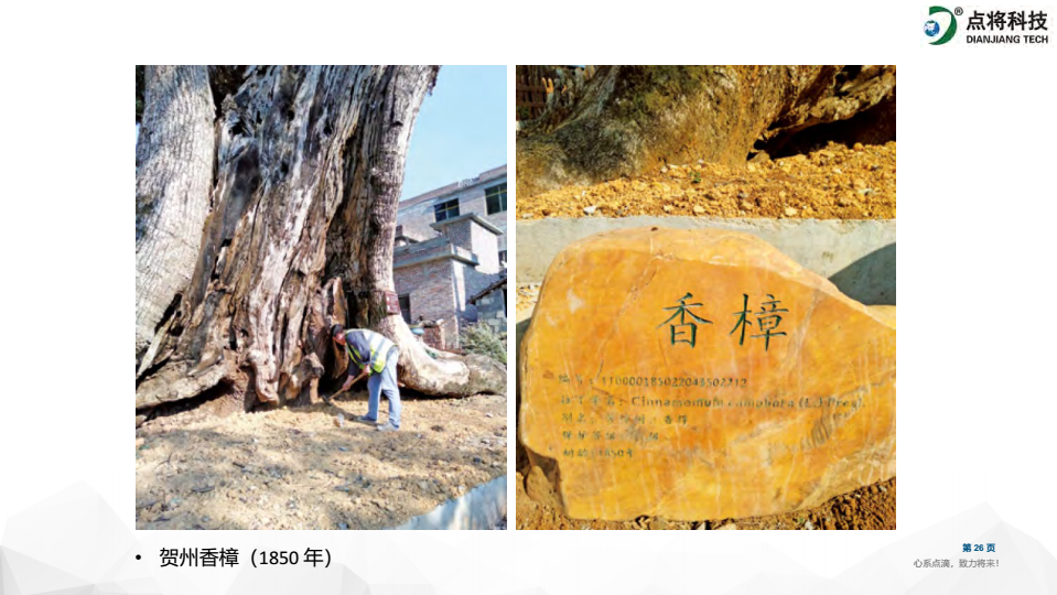 1647585341500945.png image.png