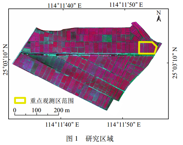 圖片關(guān)鍵詞 圖片關(guān)鍵詞