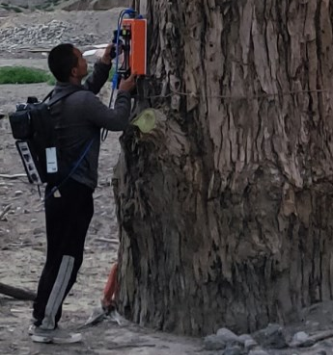 1650526594276980.png image.png