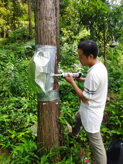 圖片關鍵詞 圖片關鍵詞