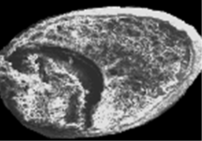 圖片關(guān)鍵詞