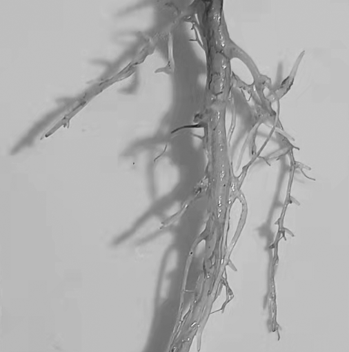 1655965863541505.png 1655965863541505.png