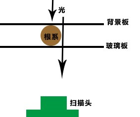 圖片關(guān)鍵詞 圖片關(guān)鍵詞