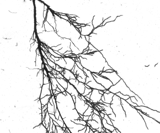 圖片關(guān)鍵詞 圖片關(guān)鍵詞