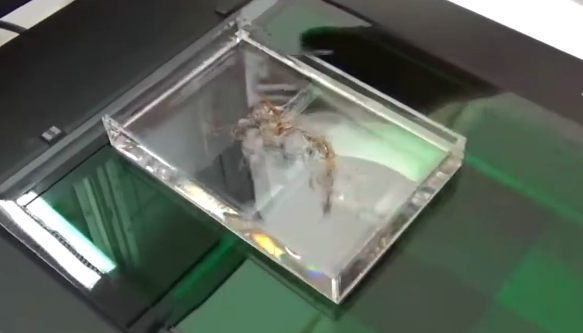 圖片關(guān)鍵詞 圖片關(guān)鍵詞