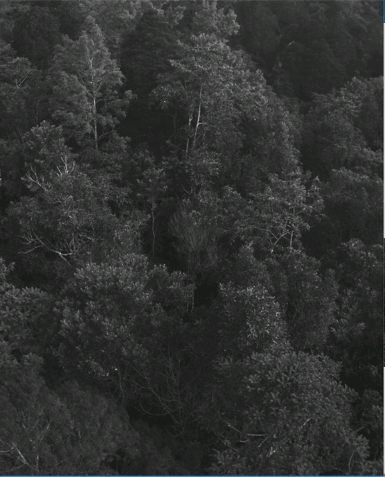 多光譜相機(jī)