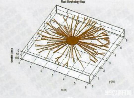 圖片關(guān)鍵詞