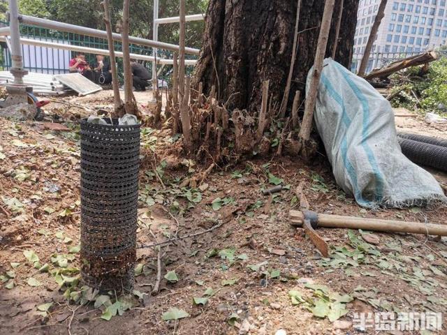 圖片關(guān)鍵詞