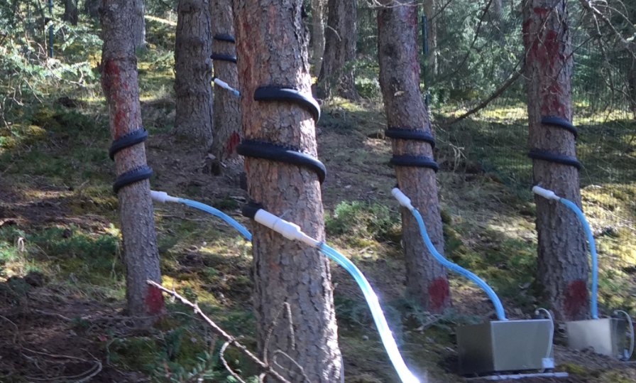 樹(shù)干截留采集儀 樹(shù)干截留采集儀