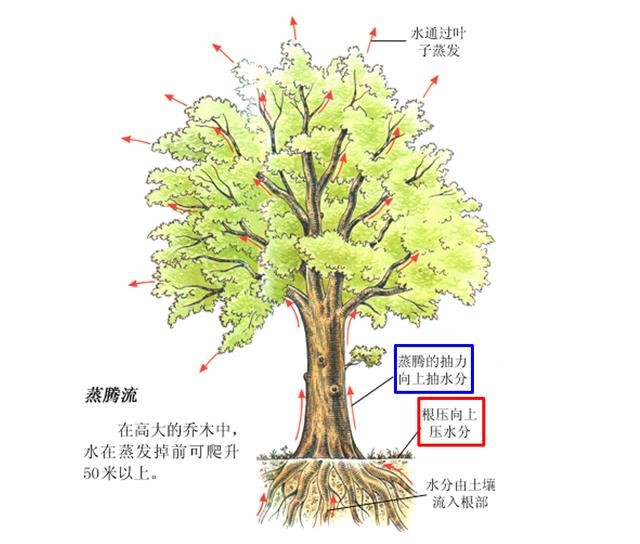 液流測量方式 液流測量方式