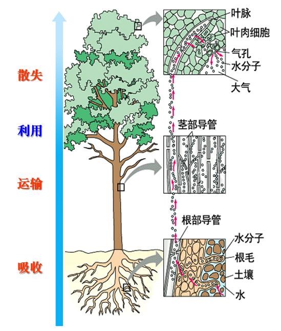 液流測量方式 液流測量方式