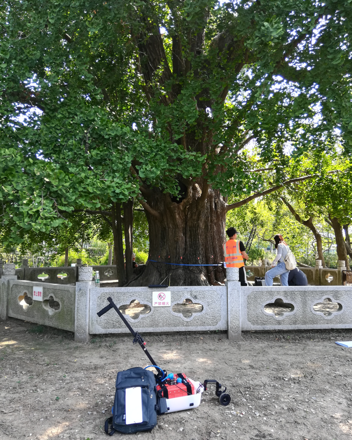 TRU 樹木雷達(dá)