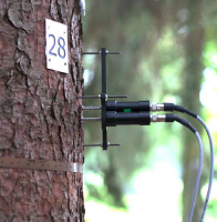 圖片關(guān)鍵詞