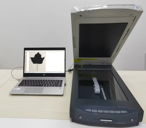 植物圖像分析系統(tǒng) 植物圖像分析系統(tǒng)