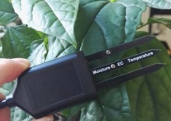 土壤水分溫度傳感器 土壤水分溫度傳感器