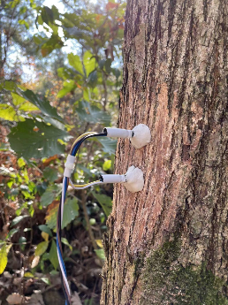 插針莖流監(jiān)測 插針莖流監(jiān)測