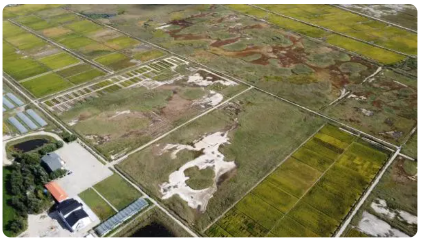 圖片關(guān)鍵詞