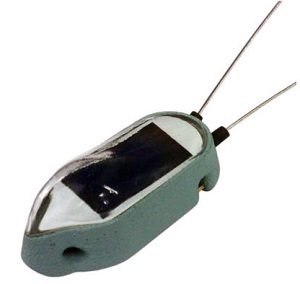 圖片關(guān)鍵詞 圖片關(guān)鍵詞