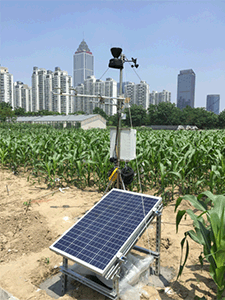 植物生理生態(tài)監(jiān)測(cè)-點(diǎn)將科技 植物生理生態(tài)監(jiān)測(cè)-點(diǎn)將科技