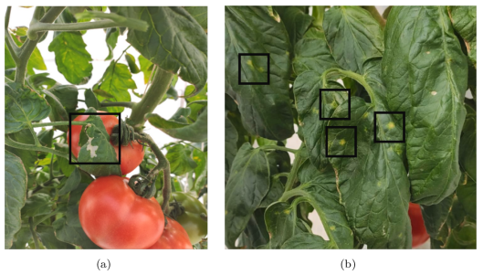 圖片關(guān)鍵詞 圖片關(guān)鍵詞