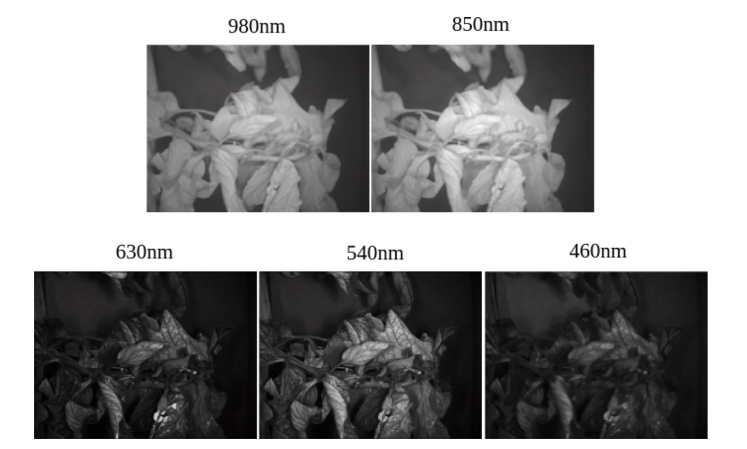 圖片關(guān)鍵詞 圖片關(guān)鍵詞