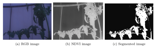 圖片關(guān)鍵詞 圖片關(guān)鍵詞