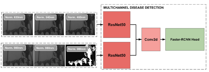圖片關(guān)鍵詞 圖片關(guān)鍵詞