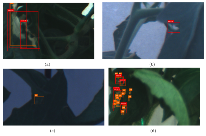 圖片關(guān)鍵詞 圖片關(guān)鍵詞