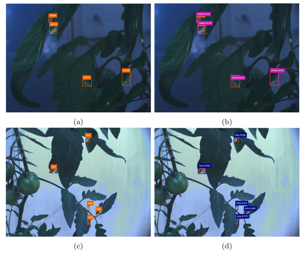 圖片關(guān)鍵詞 圖片關(guān)鍵詞