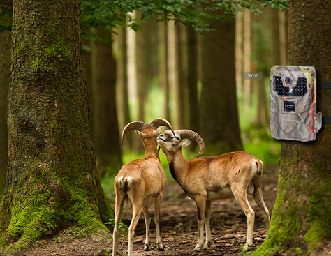 圖片關鍵詞 圖片關鍵詞