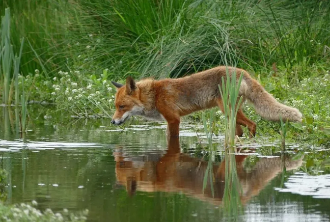 圖片關鍵詞 圖片關鍵詞