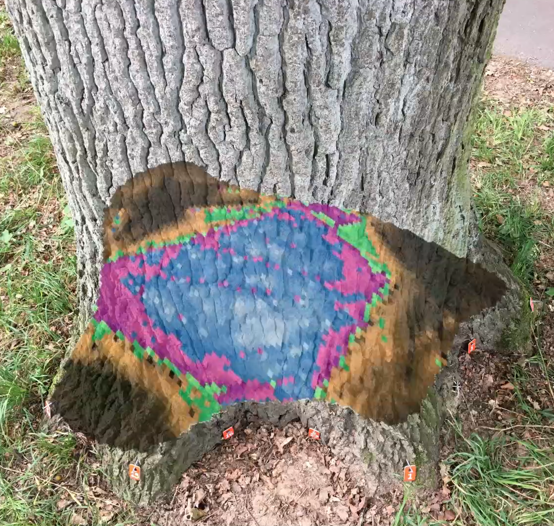 Picus 3結(jié)果分析 Picus 3結(jié)果分析