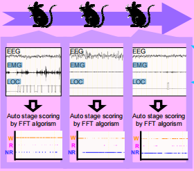 圖片關(guān)鍵詞 圖片關(guān)鍵詞