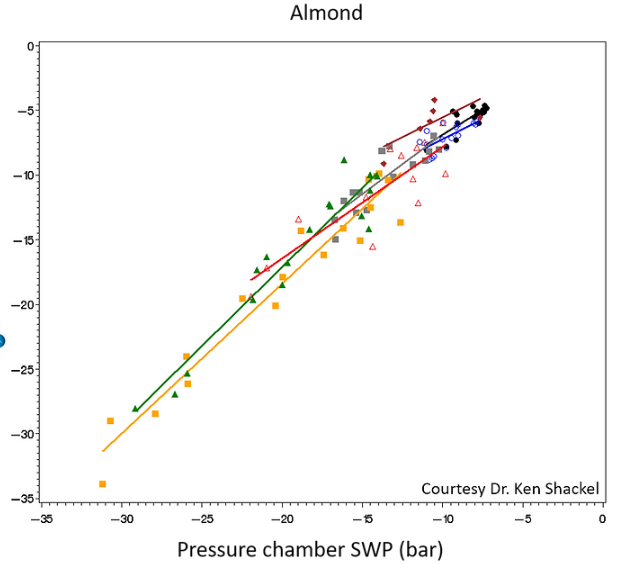 原位莖桿水勢(shì)測(cè)量儀 原位莖桿水勢(shì)測(cè)量儀