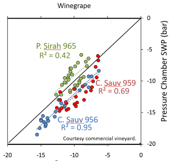 原位莖桿水勢(shì)測(cè)量儀 原位莖桿水勢(shì)測(cè)量儀