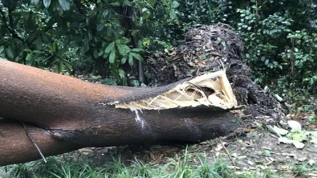 圖片關(guān)鍵詞