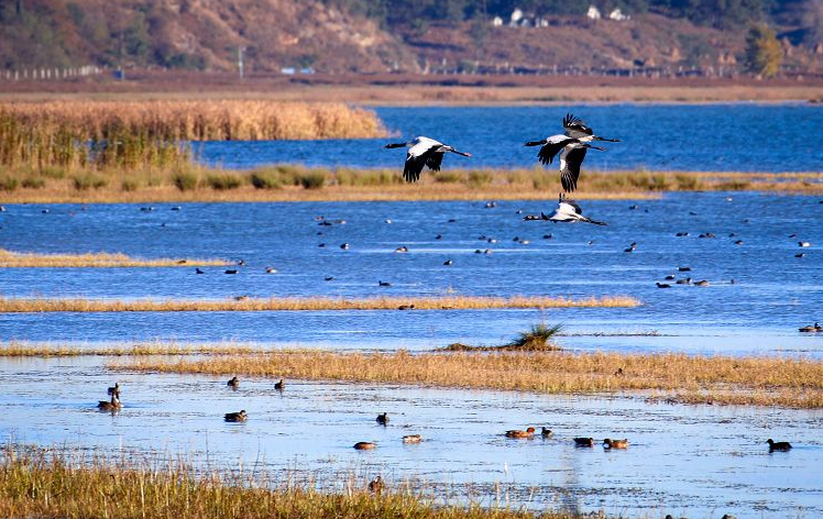 水質(zhì)監(jiān)測 水質(zhì)監(jiān)測