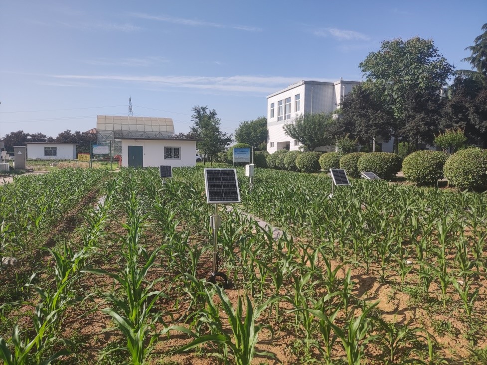 土壤三參數(shù)監(jiān)測