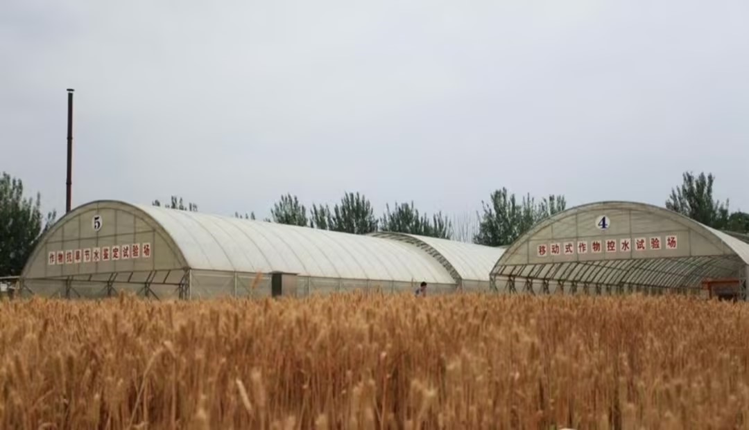 旱區(qū)節(jié)水農(nóng)業(yè)研究院