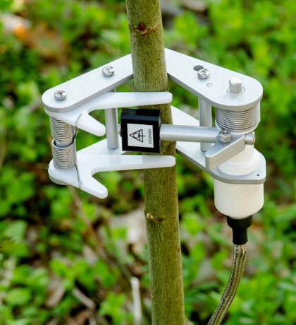 莖干生長(zhǎng)傳感器 莖干生長(zhǎng)傳感器