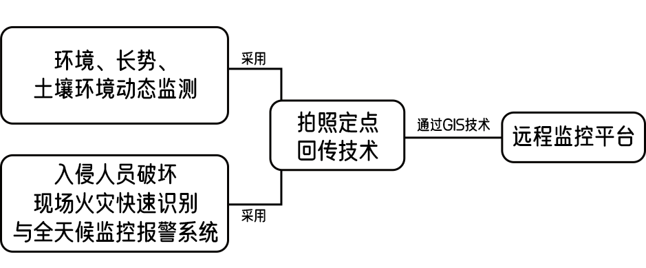 圖片關(guān)鍵詞 圖片關(guān)鍵詞