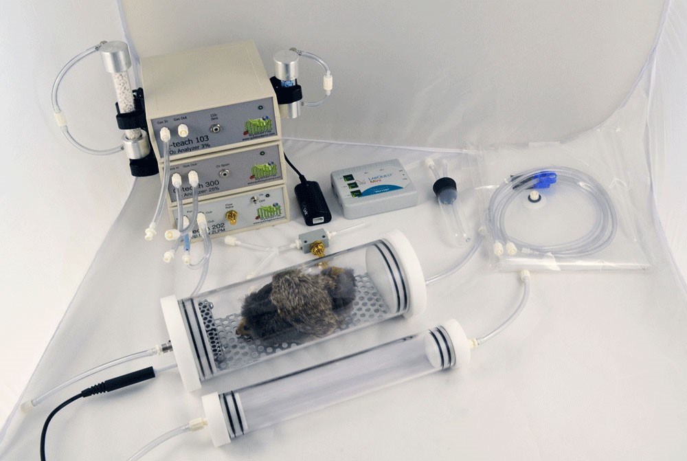 動(dòng)物二氧化碳測(cè)量系統(tǒng) 動(dòng)物二氧化碳測(cè)量系統(tǒng)