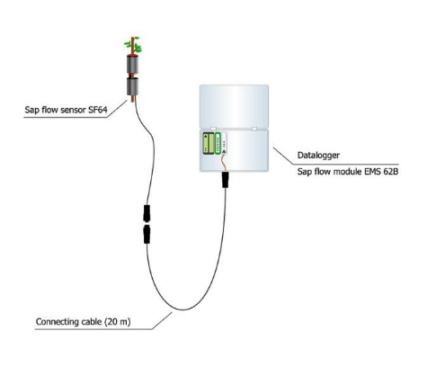 植物莖流測量系統(tǒng) 植物莖流測量系統(tǒng)