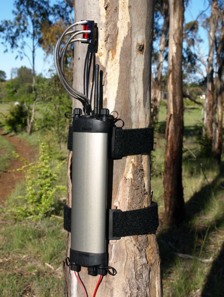 莖流(液流)計 莖流(液流)計