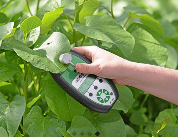 葉綠素儀 葉綠素儀