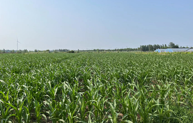 圖片關(guān)鍵詞