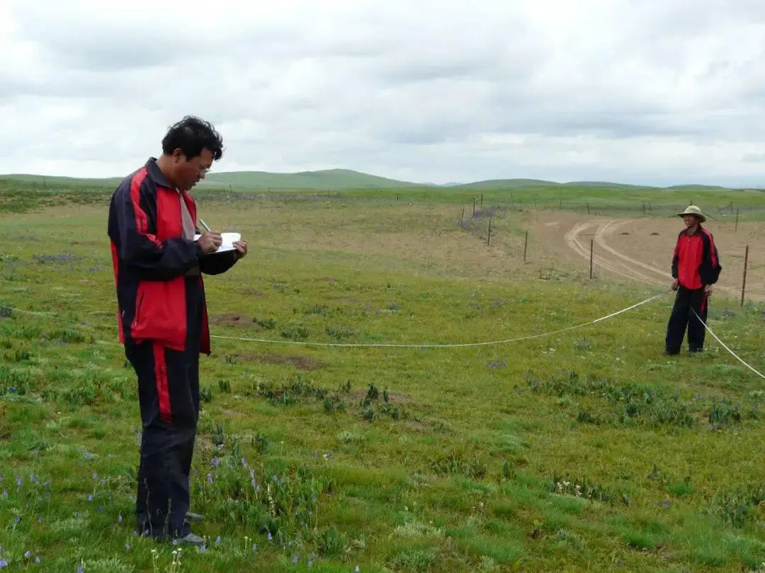 圖片關(guān)鍵詞