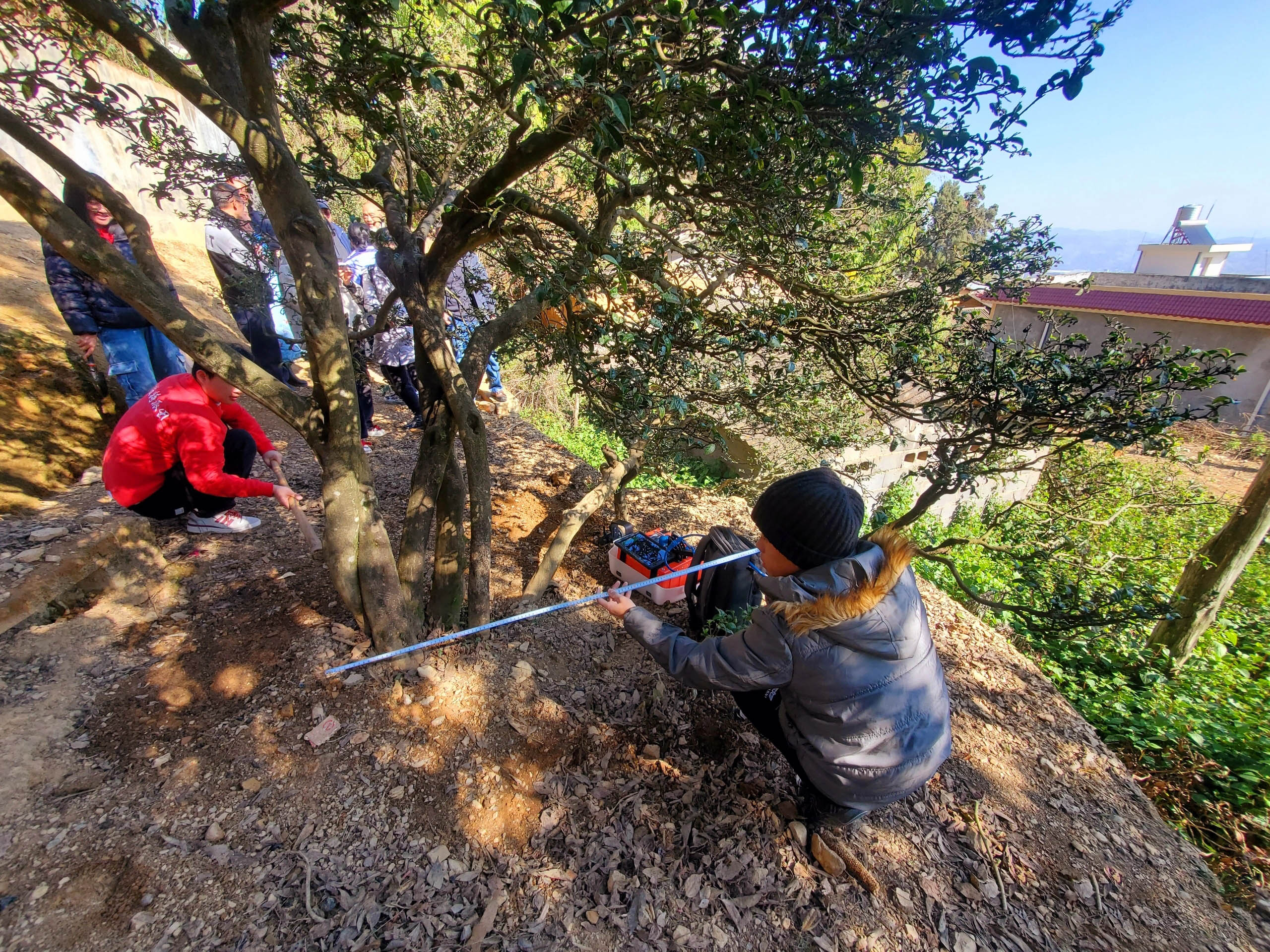 圖片關(guān)鍵詞 圖片關(guān)鍵詞